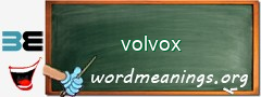 WordMeaning blackboard for volvox